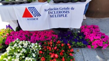 Una flor por la Esclerosis Múltiple 2025