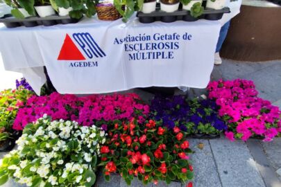 Una flor por la Esclerosis Múltiple 2025
