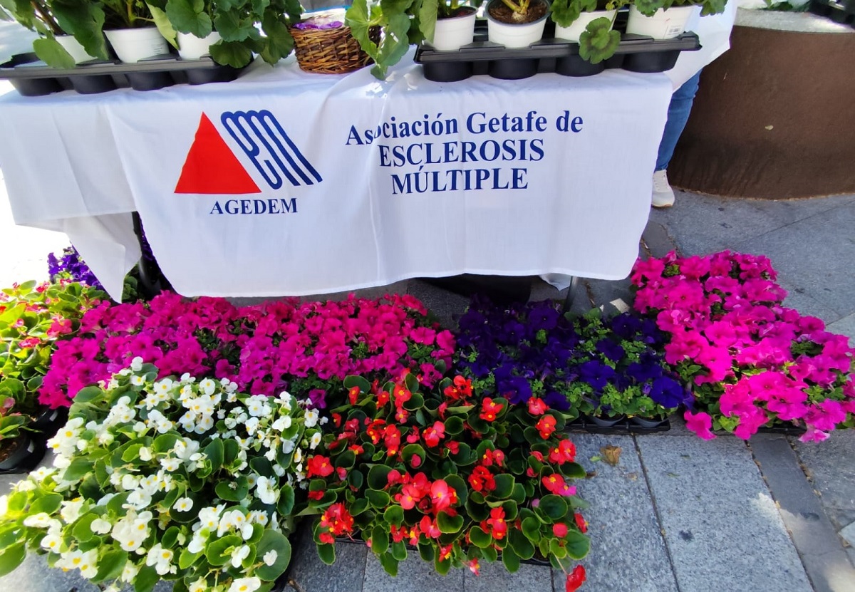 Una flor por la Esclerosis Múltiple 2025